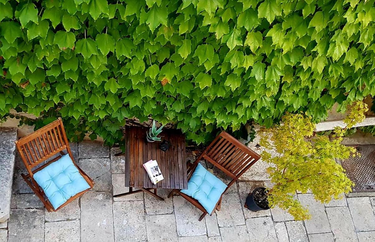 Villa Ani Apartment Coral Dubrovnik Eksteriør bilde